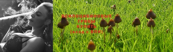 кокаин колумбия Баксан