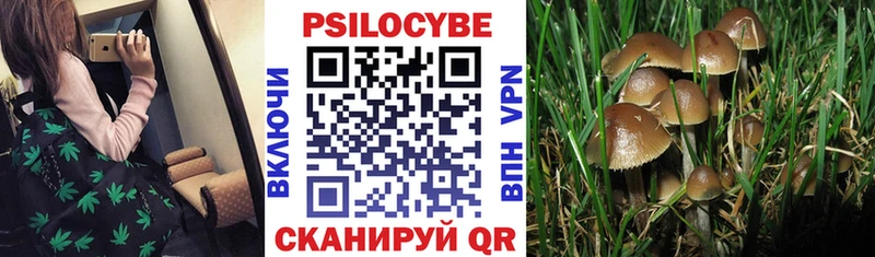 наркотики  Отрадная  blacksprut вход  Галлюциногенные грибы GOLDEN TEACHER 